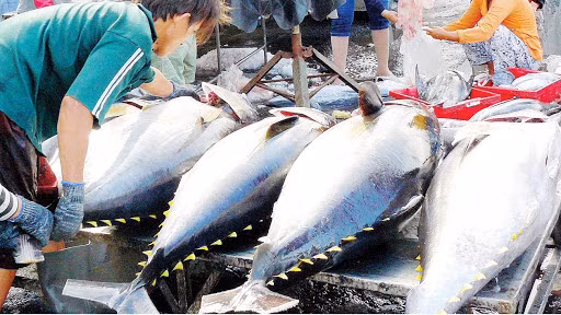 Produits aquatiques: L’UKVFTA stimulera les exportations vietnamiennes vers le marché britannique ảnh 1 Produits aquatiques: L’UKVFTA stimulera les exportations vietnamiennes vers le marché britannique ảnh 1