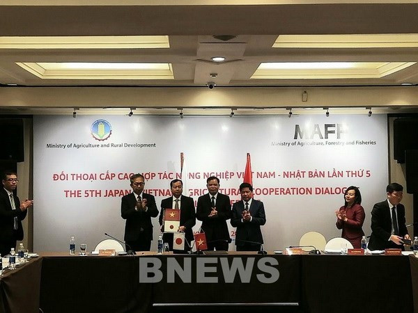 Le Vietnam et le Japon boostent leur coopération agricole ảnh 1 Le Vietnam et le Japon boostent leur coopération agricole ảnh 1