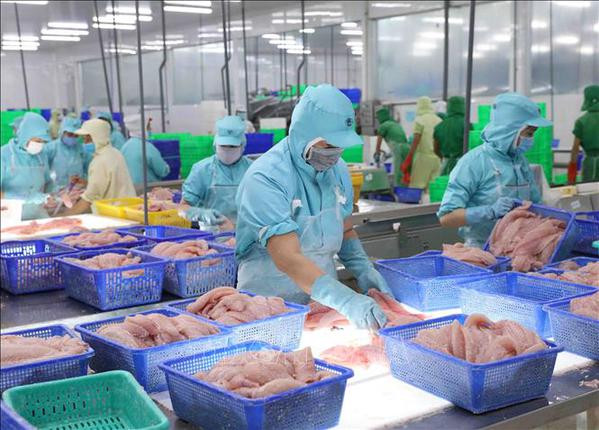 Publication d'une liste de 281 entreprises exportatrices prestigieuses ảnh 1 Publication d'une liste de 281 entreprises exportatrices prestigieuses ảnh 1