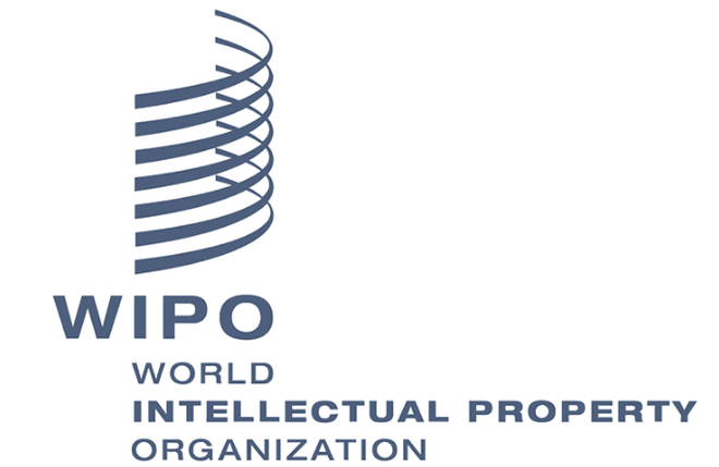 Le Vietnam adhère au Traité de l'OMPI sur les interprétations et exécutions et les phonogrammes ảnh 2 Le Vietnam adhère au Traité de l'OMPI sur les interprétations et exécutions et les phonogrammes ảnh 2