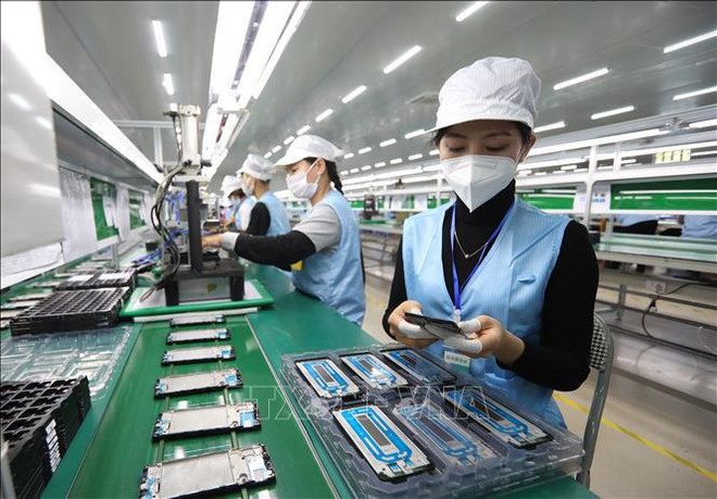 Promulgation de la stratégie de développement de la science, de la technologie et de l'innovation/P3 ảnh 1