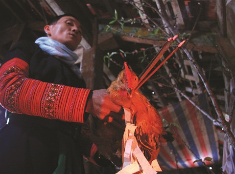 Le culte du Têt chez les H’mông ảnh 1 Le culte du Têt chez les H’mông ảnh 1