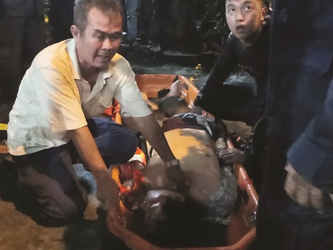 Sauveteur : un métier risqué ảnh 2