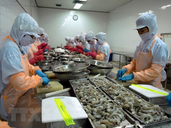 Une délégation australienne vérifie la chaîne de production de crevettes du Vietnam ảnh 1 Une délégation australienne vérifie la chaîne de production de crevettes du Vietnam ảnh 1