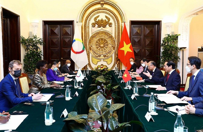 Le ministre des Affaires étrangères s’entretient avec la Secrétaire générale de l’OIF ảnh 1 Le ministre des Affaires étrangères s’entretient avec la Secrétaire générale de l’OIF ảnh 1