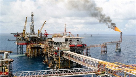 Les grandes entreprises publiques doivent être des chefs de file dans leur domaine ảnh 2 Les grandes entreprises publiques doivent être des chefs de file dans leur domaine ảnh 2