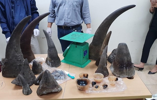 Amélioration de l’efficacité dans le traitement des violations de la faune ảnh 1 Amélioration de l’efficacité dans le traitement des violations de la faune ảnh 1