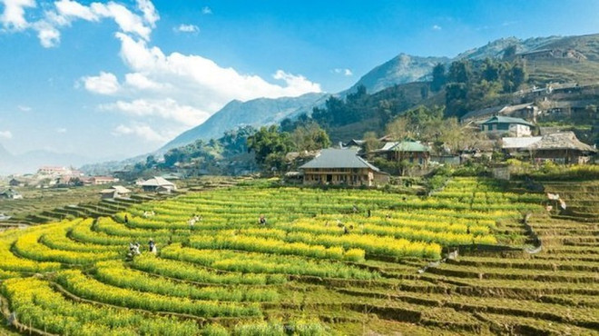 L’agrotourisme a le vent en poupe à Sapa ảnh 2 L’agrotourisme a le vent en poupe à Sapa ảnh 2