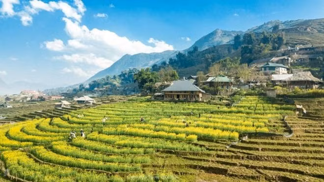 L’agrotourisme a le vent en poupe à Sapa ảnh 2 L’agrotourisme a le vent en poupe à Sapa ảnh 2
