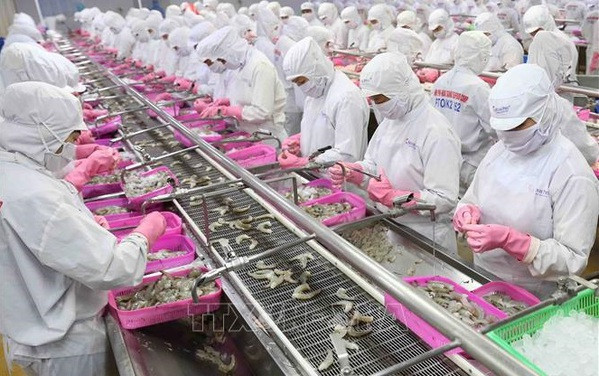 Lancement d'une application numérique pour le Forum sur les crevettes du Vietnam ảnh 2 Lancement d'une application numérique pour le Forum sur les crevettes du Vietnam ảnh 2