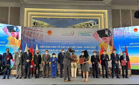 Vietnam - Francophonie : les entreprises à la recherche de partenariat dans trois filières ảnh 6 Vietnam - Francophonie : les entreprises à la recherche de partenariat dans trois filières ảnh 6