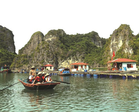 Vung Viêng, un paisible village de pêcheurs à Quang Ninh ảnh 2 Vung Viêng, un paisible village de pêcheurs à Quang Ninh ảnh 2