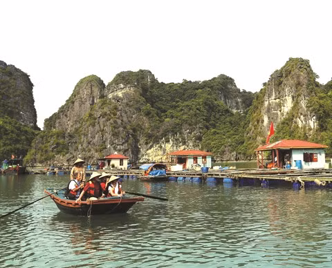 Vung Viêng, un paisible village de pêcheurs à Quang Ninh ảnh 2 Vung Viêng, un paisible village de pêcheurs à Quang Ninh ảnh 2