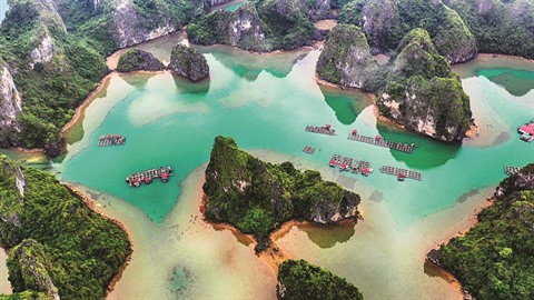 Vung Viêng, un paisible village de pêcheurs à Quang Ninh ảnh 1 Vung Viêng, un paisible village de pêcheurs à Quang Ninh ảnh 1