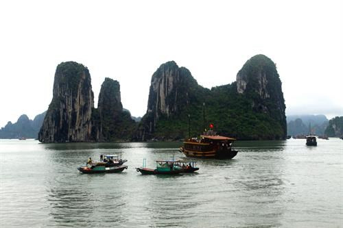 Le Vietnam se concentre sur le développement du tourisme durable ảnh 1 Le Vietnam se concentre sur le développement du tourisme durable ảnh 1