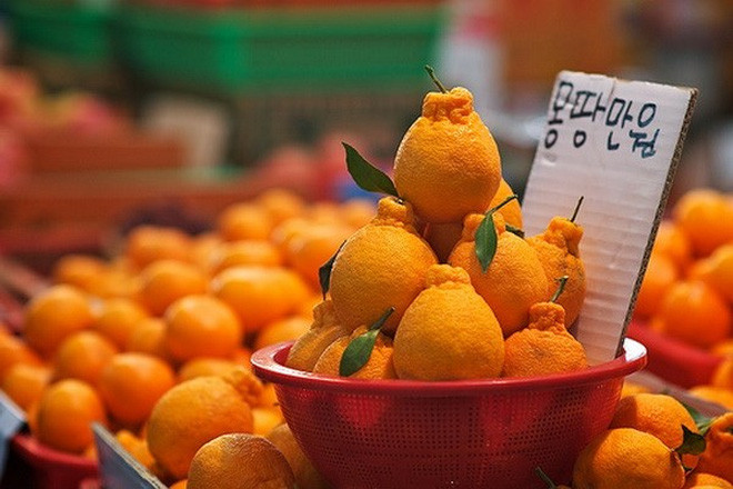 Le Vietnam, marché stratégique pour l’export de la R. de Corée ảnh 1 Le Vietnam, marché stratégique pour l’export de la R. de Corée ảnh 1