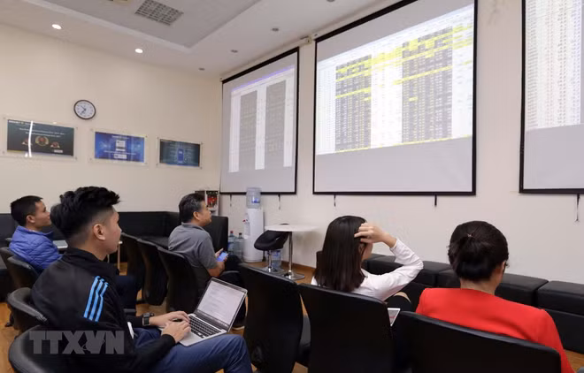Projet de restructuration du marché boursier approuvé ảnh 1