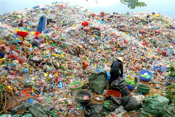 Surveillance des déchets marins et de la pollution plastique dans les zones côtières ảnh 1 Surveillance des déchets marins et de la pollution plastique dans les zones côtières ảnh 1