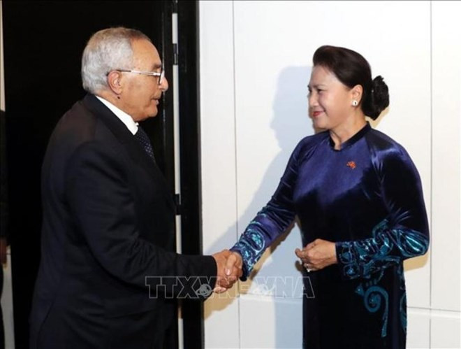 L'échange entre les peuples est important pour les relations Vietnam-Maroc ảnh 1 L'échange entre les peuples est important pour les relations Vietnam-Maroc ảnh 1