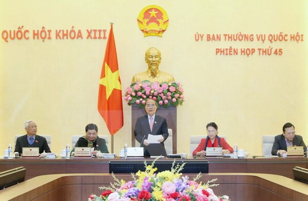 Le Comité permanent de l’AN adopte le statut des activités extérieures des organes de l’AN ảnh 1 Le Comité permanent de l’AN adopte le statut des activités extérieures des organes de l’AN ảnh 1