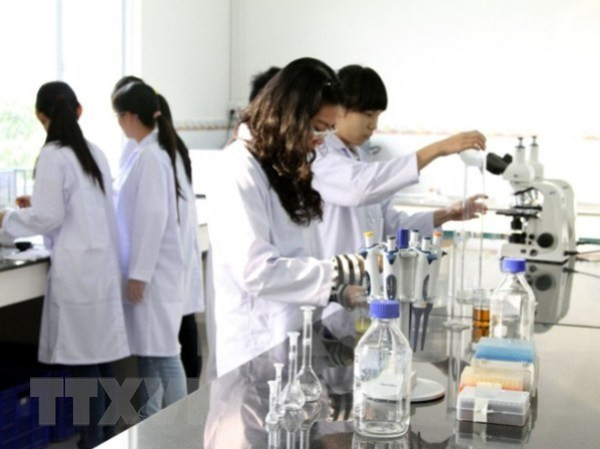 La 10ème édition du festival de Hue débute avec de diverses activités ảnh 1