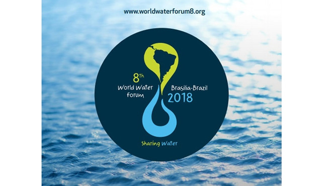 Le Vietnam participe au 8e Forum mondial de l’eau au Brésil ảnh 1 Le Vietnam participe au 8e Forum mondial de l’eau au Brésil ảnh 1