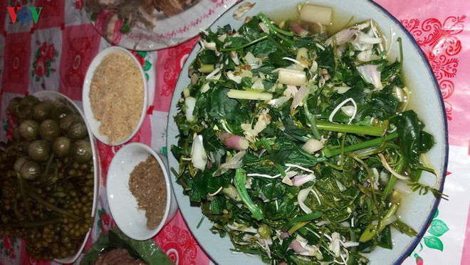 La bauhinie, une fleur typique du Nord-Ouest ảnh 2 La bauhinie, une fleur typique du Nord-Ouest ảnh 2