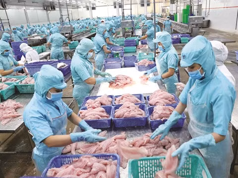 Coronavirus : le milieu des affaires au centre des assistances ảnh 1