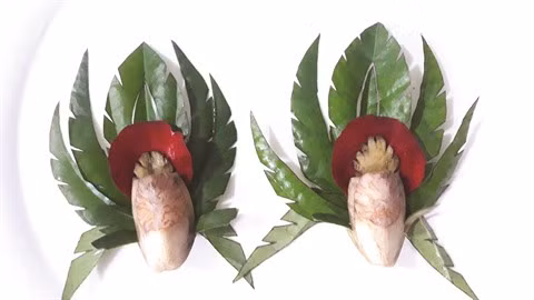 L’origine de la chique de bétel ảnh 2