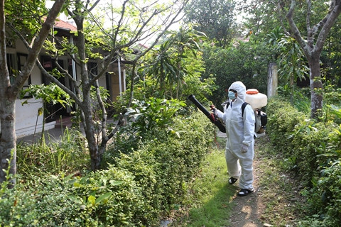 Le vaccin contre la dengue bientôt disponible ảnh 1 Le vaccin contre la dengue bientôt disponible ảnh 1