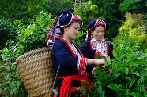 La Suisse au chevet des ethnies minoritaires ảnh 2