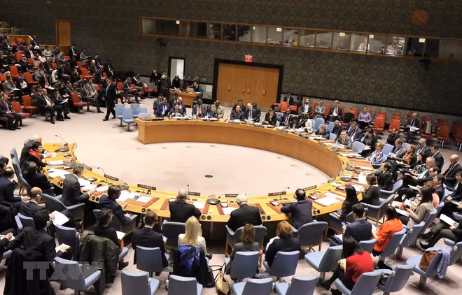 Le Vietnam affirme sa position grâce aux activités au Conseil de sécurité des Nations unies ảnh 1