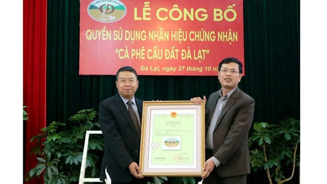 Dà Lat : Enregistrement de la marque de certification pour le café arabica du village de Câu Dât ảnh 1 Dà Lat : Enregistrement de la marque de certification pour le café arabica du village de Câu Dât ảnh 1