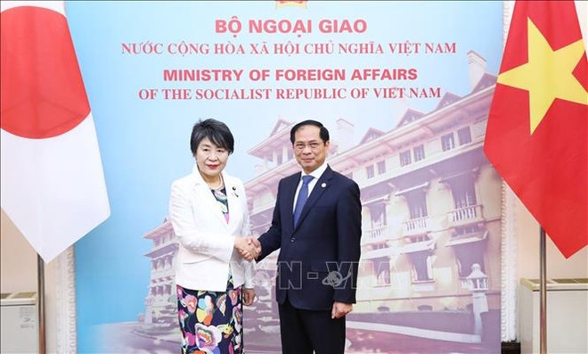 Continuer à approfondir le partenariat stratégique approfondi Vietnam-Japon ảnh 1 Continuer à approfondir le partenariat stratégique approfondi Vietnam-Japon ảnh 1