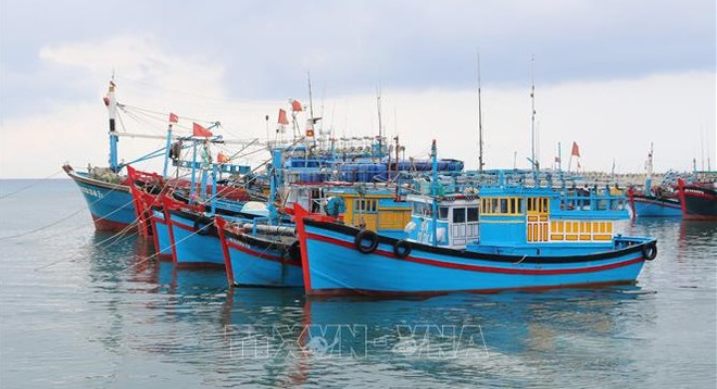 Le Vietnam redouble d'efforts dans la lutte contre le pêche INN ảnh 1 Le Vietnam redouble d'efforts dans la lutte contre le pêche INN ảnh 1