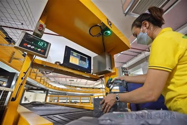 Aider les gens à profiter des avantages de la transition numérique ảnh 2