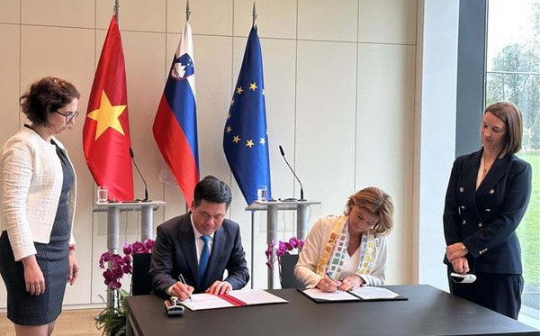 Nouvel élan pour la coopération entre le Vietnam et la Slovénie ảnh 1 Nouvel élan pour la coopération entre le Vietnam et la Slovénie ảnh 1