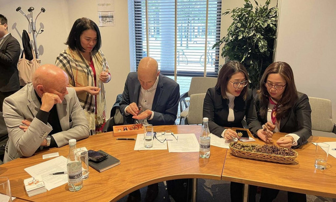 La province de Lang Son promeut ses produits agricoles aux Pays-Bas ảnh 2