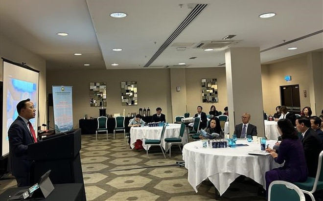 La province de Hoa Binh déroule le tapis rouge aux investisseurs britanniques ảnh 2