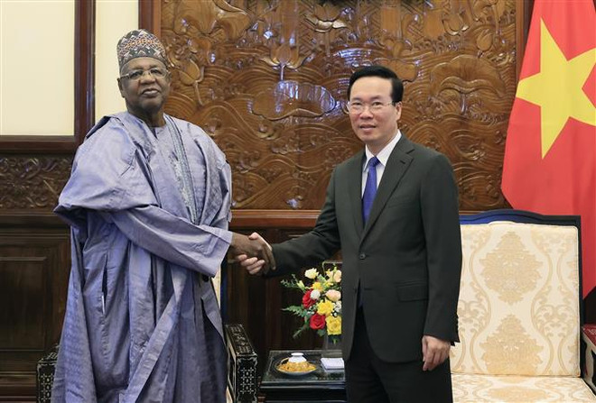Le Vietnam veut développer davantage ses relations avec le Nigeria dans tous les domaines ảnh 1 Le Vietnam veut développer davantage ses relations avec le Nigeria dans tous les domaines ảnh 1