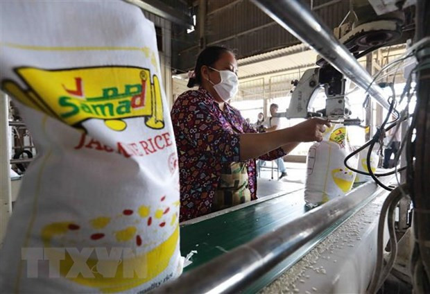 Le Vietnam deviendra un fournisseur principal de riz de l’Indonésie ảnh 1 Le Vietnam deviendra un fournisseur principal de riz de l’Indonésie ảnh 1