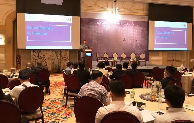 Dubaï - Marché potentiel pour les entreprises vietnamiennes ảnh 1