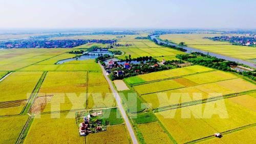 Coopération agricole entre la Belgique et le Vietnam ảnh 1 Coopération agricole entre la Belgique et le Vietnam ảnh 1