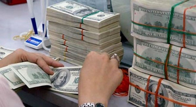 10 mois: 3,9 milliards de dollars de devises transférées à Hô Chi Minh-Ville ảnh 2 10 mois: 3,9 milliards de dollars de devises transférées à Hô Chi Minh-Ville ảnh 2