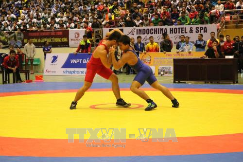 Lutte classique et libre : Le Vietnam sur le toit de l’Asie du Sud-Est ảnh 1 Lutte classique et libre : Le Vietnam sur le toit de l’Asie du Sud-Est ảnh 1