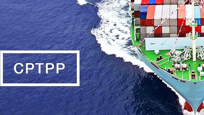 Le Canada et l’Amérique latine ouvrent leurs portes aux produits vietnamiens ảnh 1 Le Canada et l’Amérique latine ouvrent leurs portes aux produits vietnamiens ảnh 1