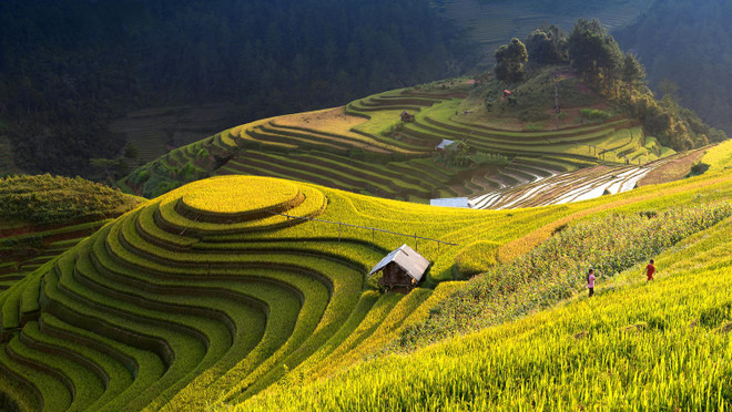 Mu Cang Chai parmi les destinations les plus colorées au monde ảnh 1 Mu Cang Chai parmi les destinations les plus colorées au monde ảnh 1