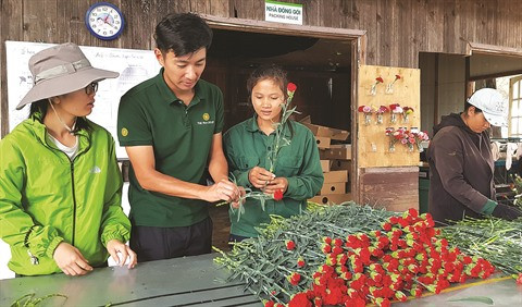 Un ingénieur japonais fasciné par les fleurs de Dà Lat ảnh 1
