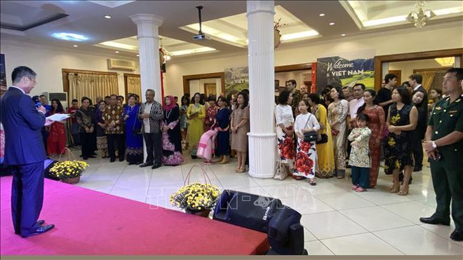 Le Têt traditionnel du Rat célébré dans plusieurs pays ảnh 1