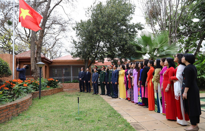 La Fête nationale du Vietnam célébrée en Afrique du Sud et en Égypte ảnh 1 La Fête nationale du Vietnam célébrée en Afrique du Sud et en Égypte ảnh 1